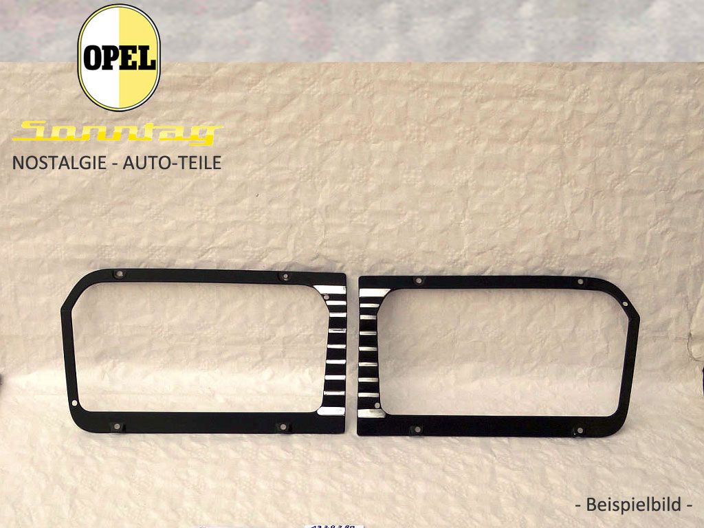 1320254 Kühlergitter aussen